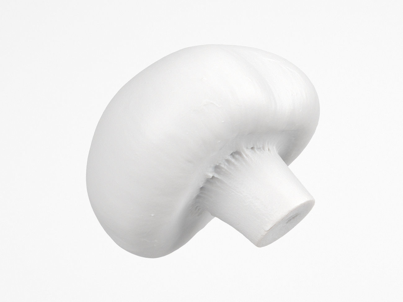 Photorealistic Mushroom 3D Scan 3D model_6