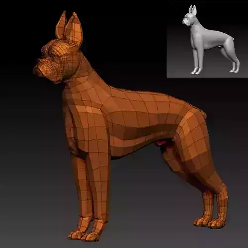 3D BOXER DOG Low-poly 3D model