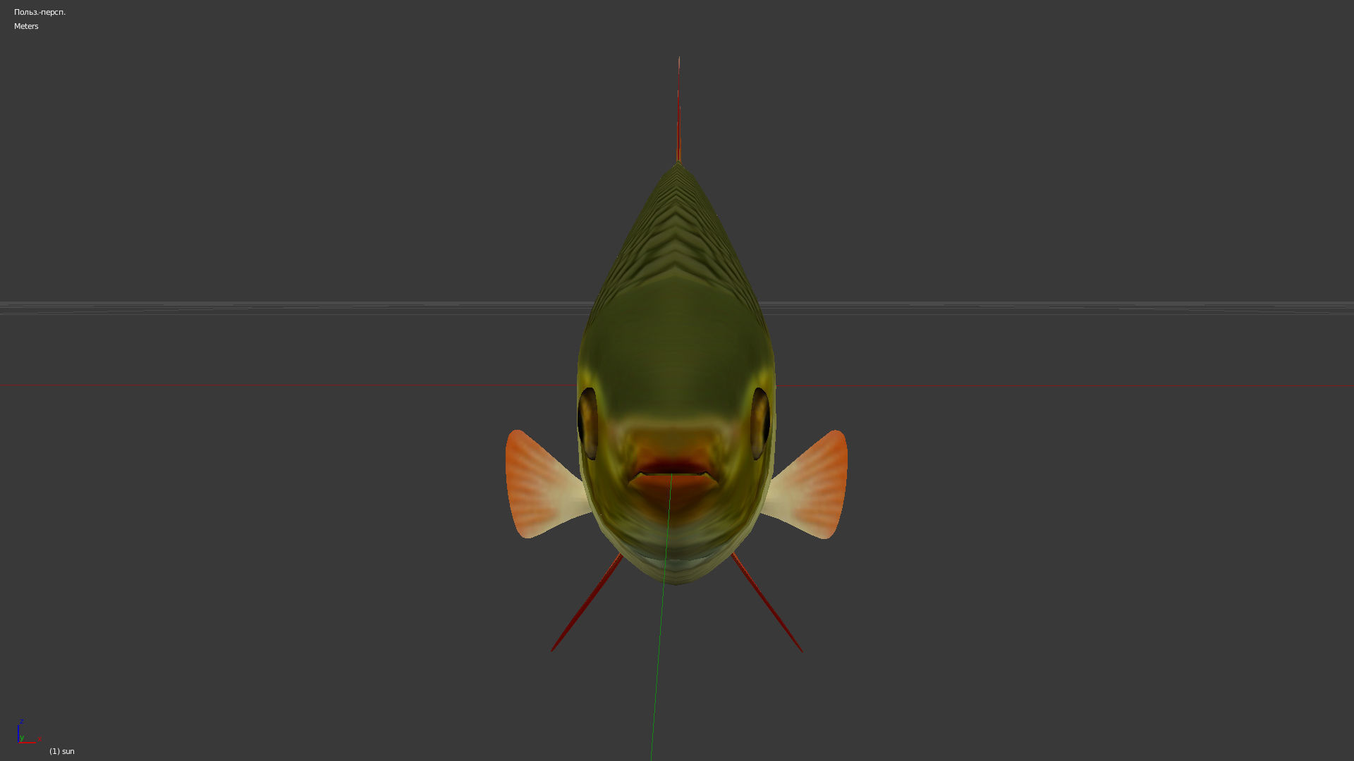 The common rudd Low-poly 3D model_1
