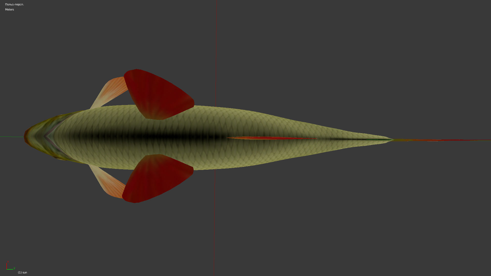 The common rudd Low-poly 3D model_3
