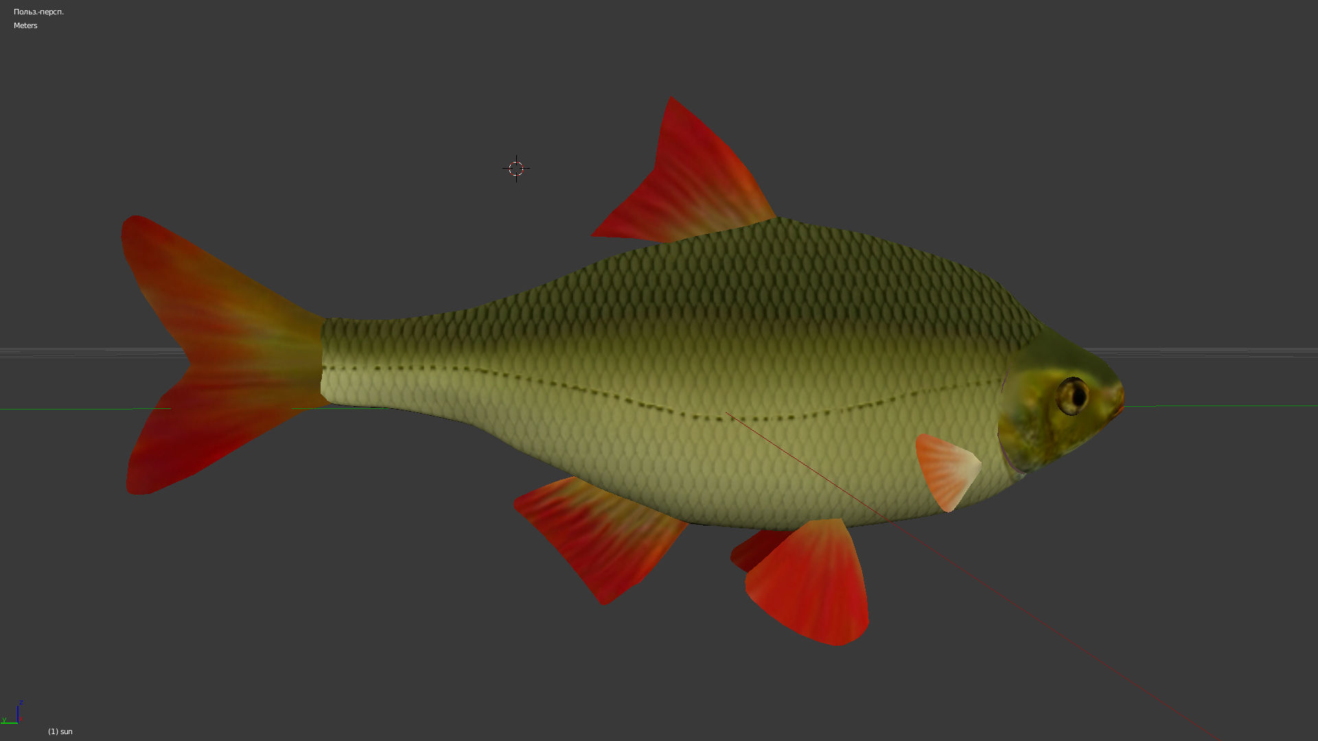 The common rudd Low-poly 3D model_6