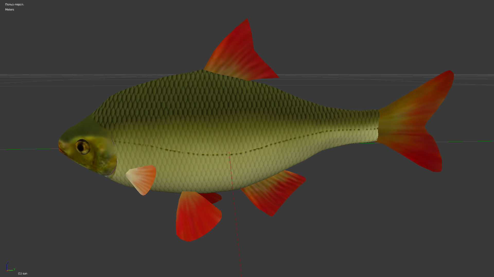 The common rudd Low-poly 3D model_2