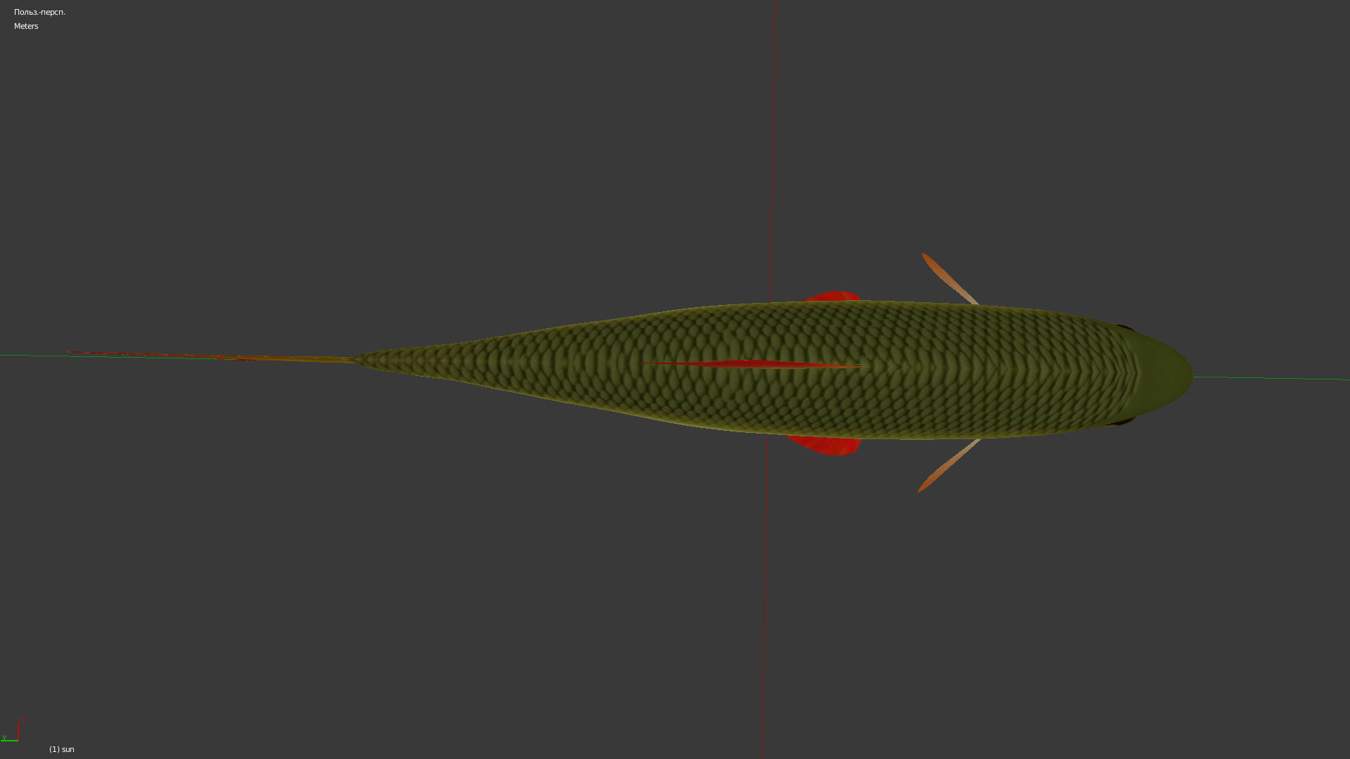 The common rudd Low-poly 3D model_5
