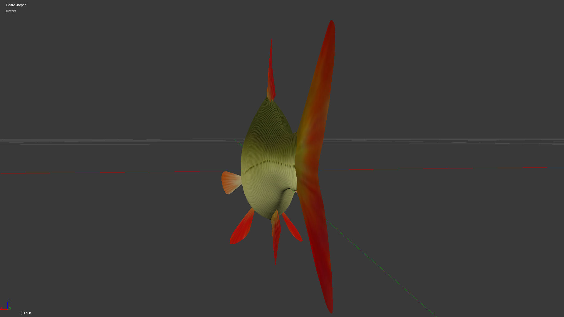The common rudd Low-poly 3D model_4