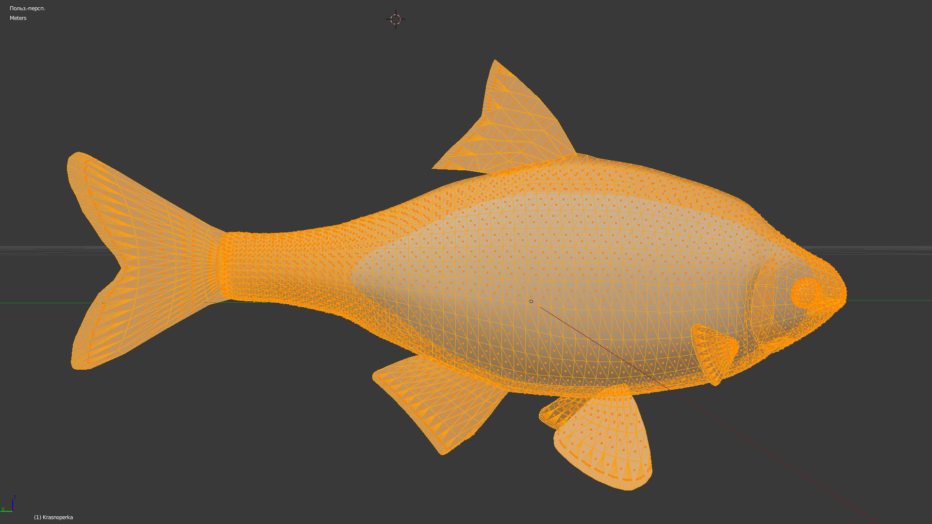 The common rudd Low-poly 3D model_7
