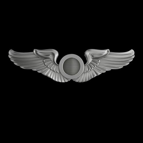 USAAF  Aircraft Observer Wings Badge 3D model