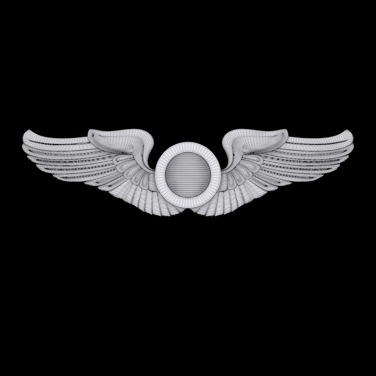 USAAF  Aircraft Observer Wings Badge 3D model_1