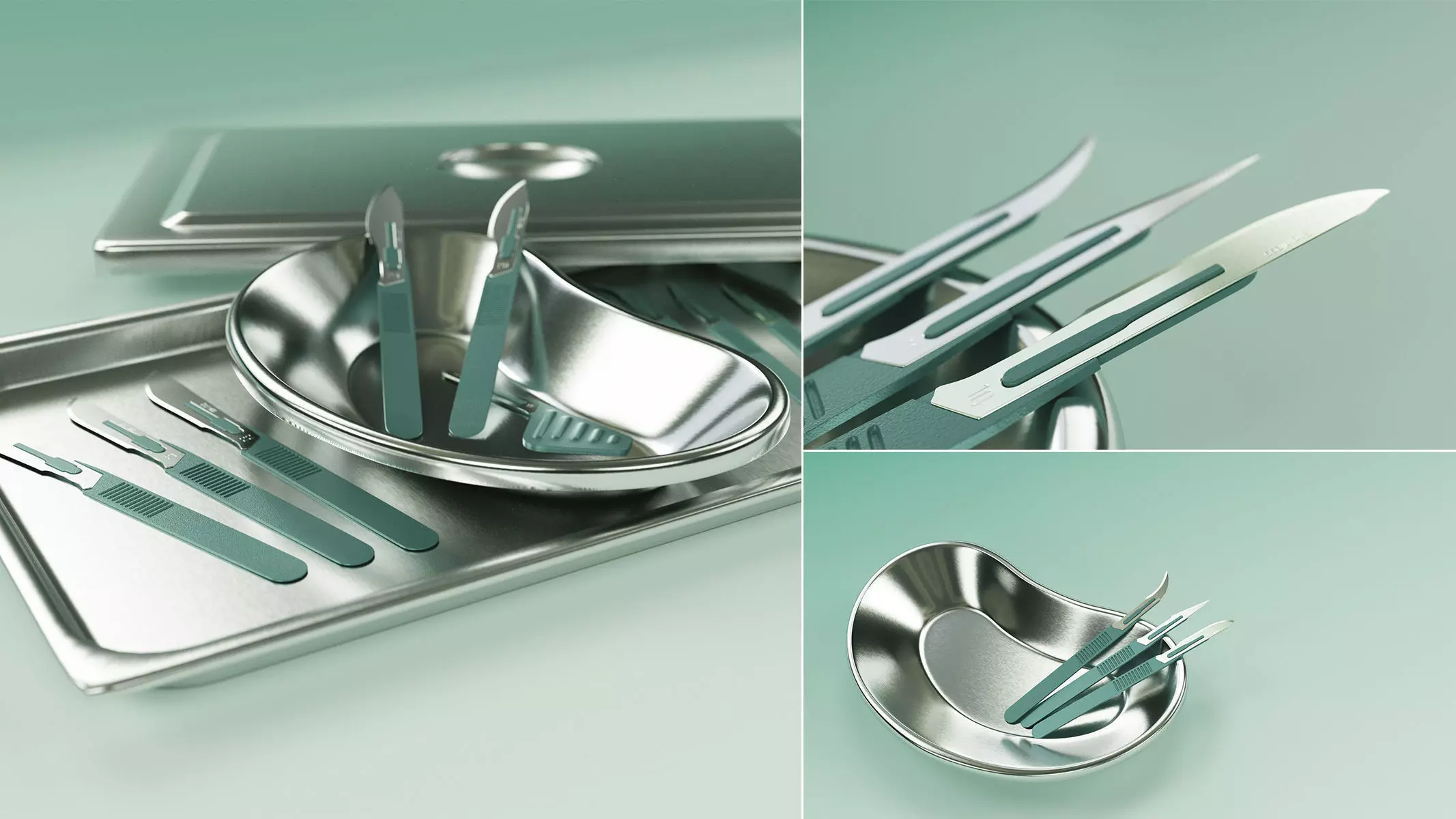 Scalpels Kidney Dish and Sterilization Tray model 3D model_0