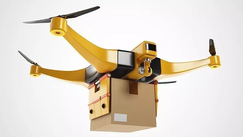 Package Delivery Drone 3D model_0