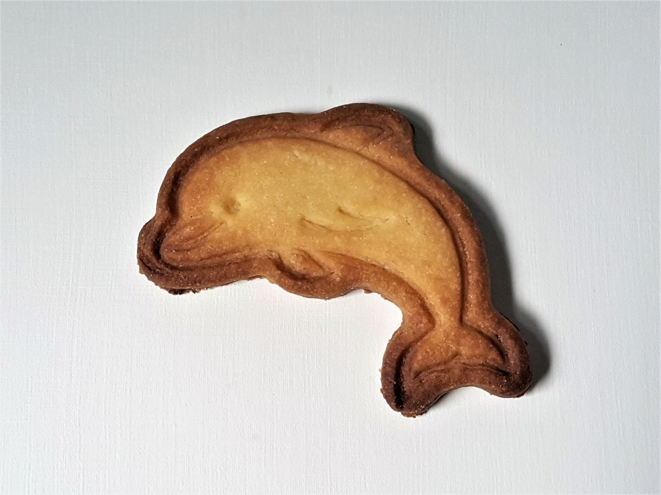 Dolphin cookie cutter 3D print model_1