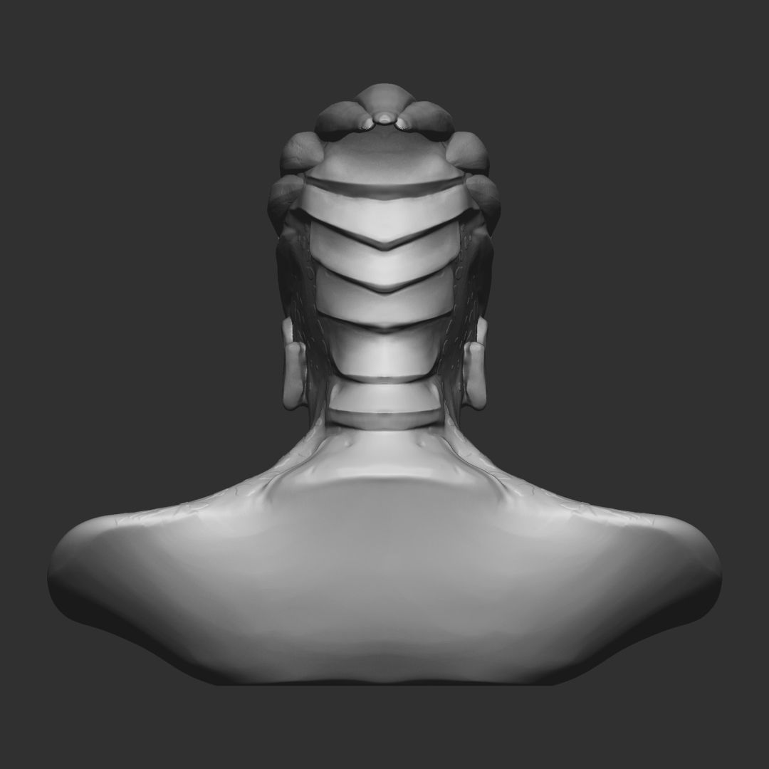 Garrus from Mass Effect 3D print model_6