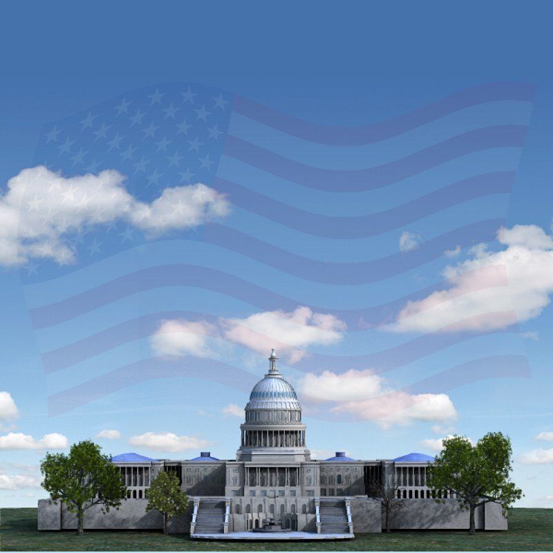 US Capitol in 3ds obj and fbx formats 3D model_5