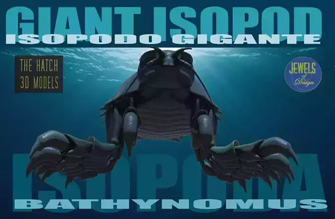 Giant Isopod