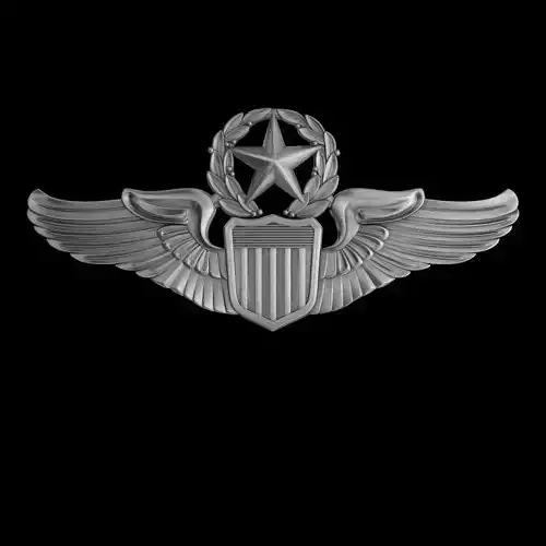 USAAF Command Pilot Wings Badge 3D model