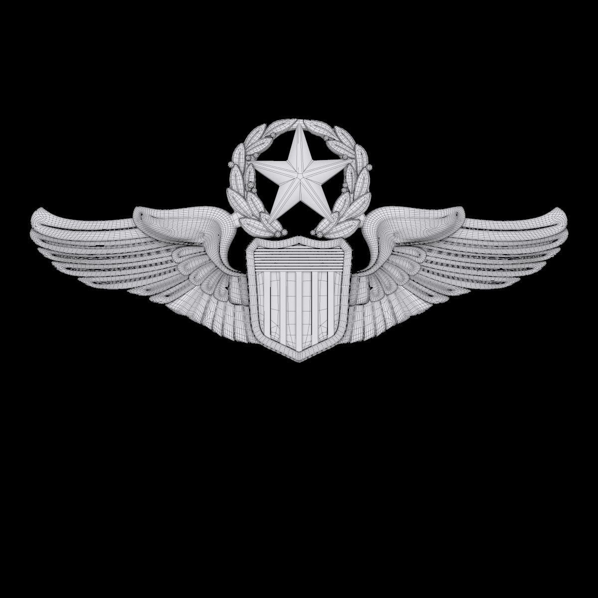 USAAF Command Pilot Wings Badge 3D model_1
