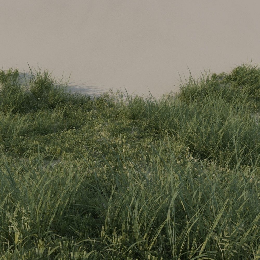 Grass pack B Low-poly 3D model_2