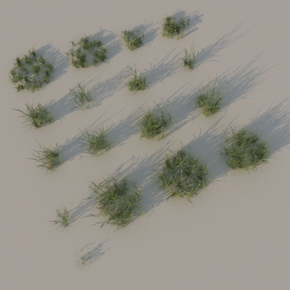 Grass pack B Low-poly 3D model_8