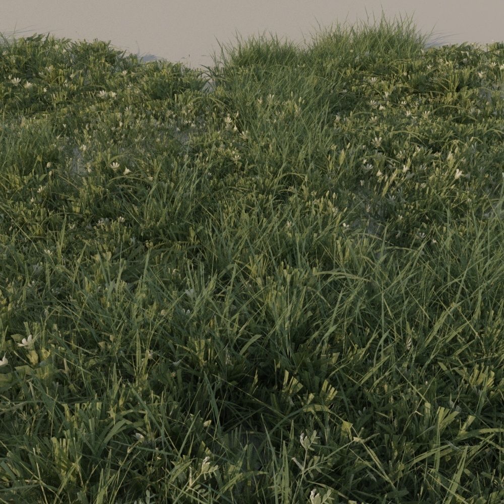 Grass pack B Low-poly 3D model_1