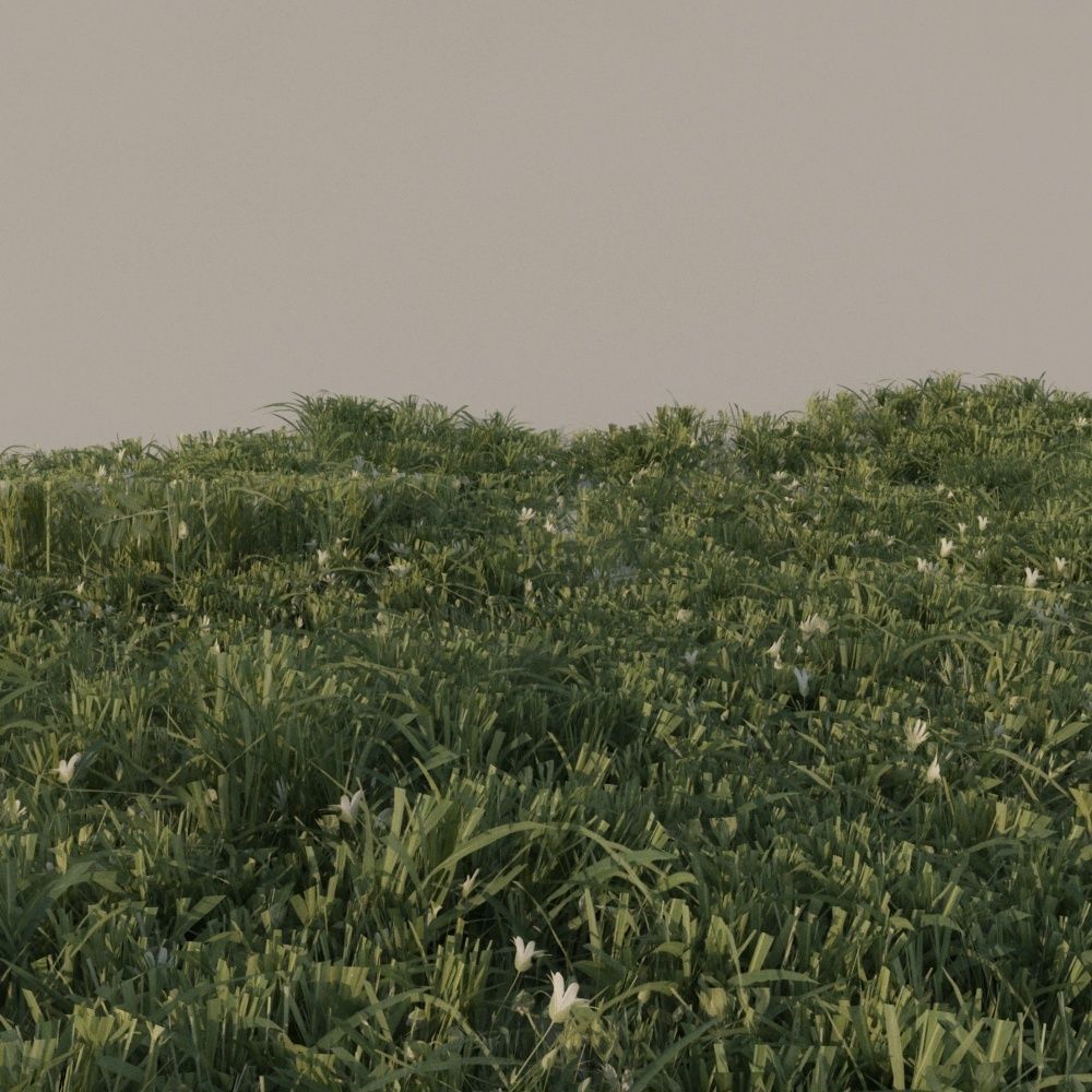 Grass pack B Low-poly 3D model_7