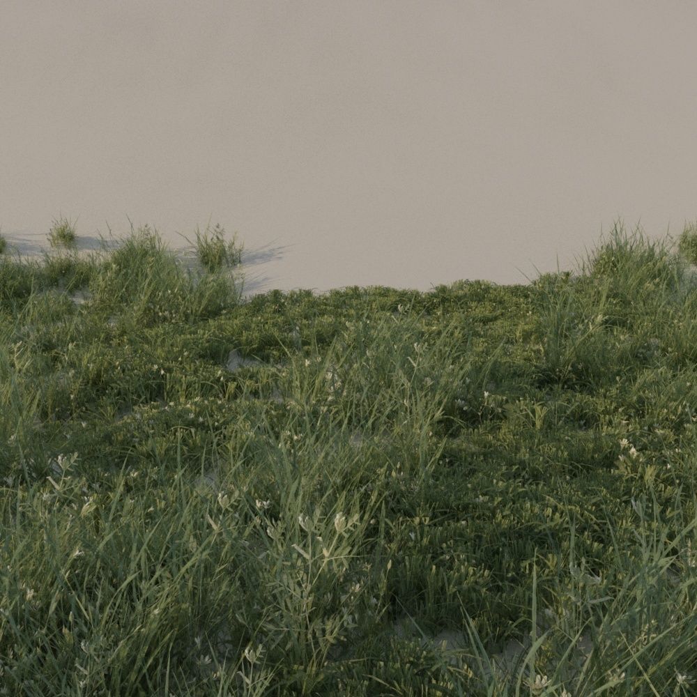 Grass pack B Low-poly 3D model_4