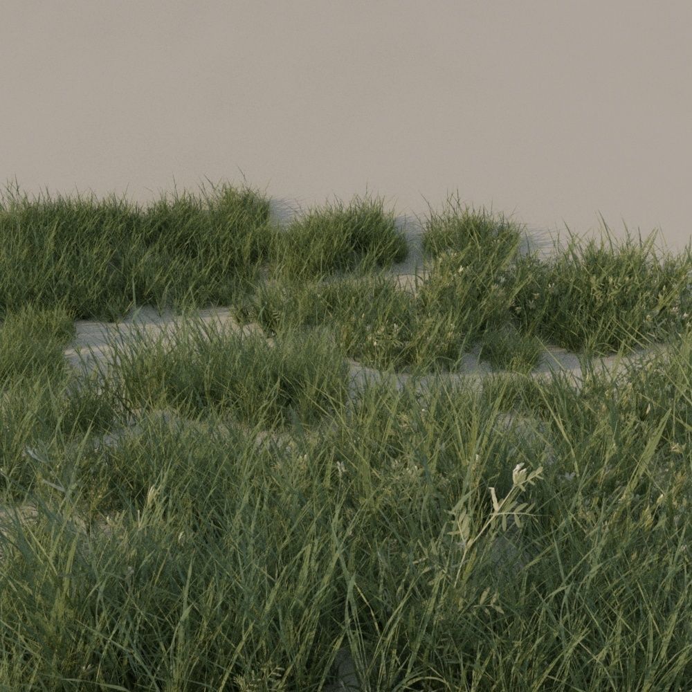 Grass pack B Low-poly 3D model_3