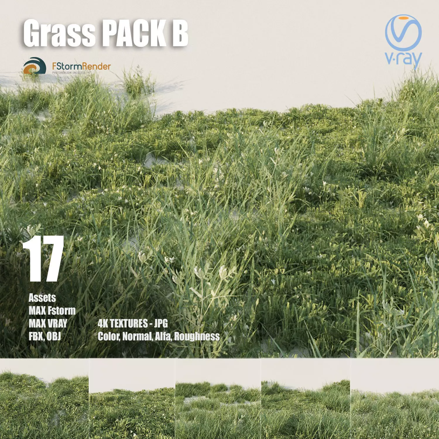 Grass pack B Low-poly 3D model_0