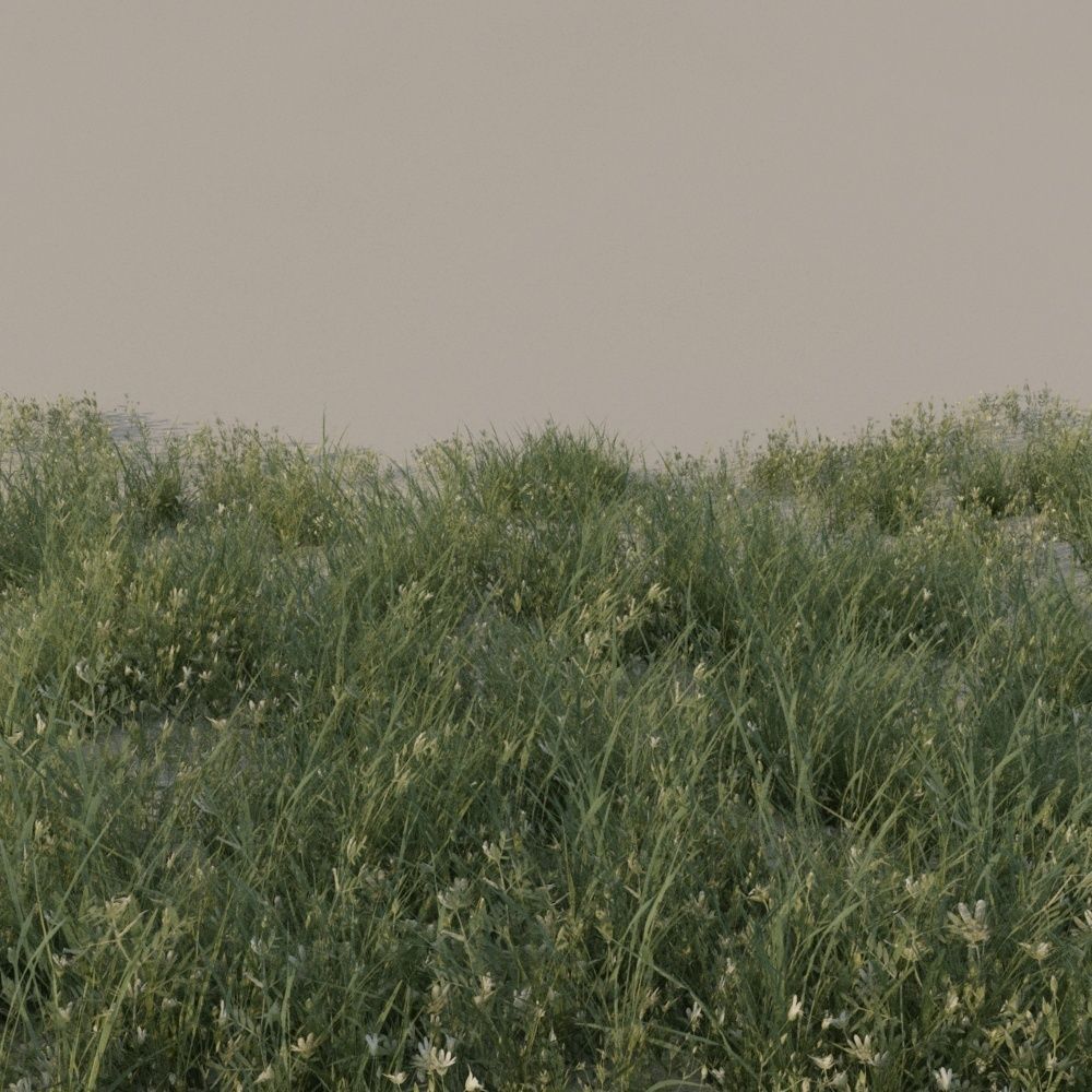 Grass pack B Low-poly 3D model_6