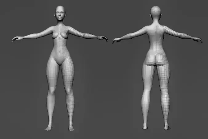 Female Body Basemesh 7 Low Poly Low-poly 3D model