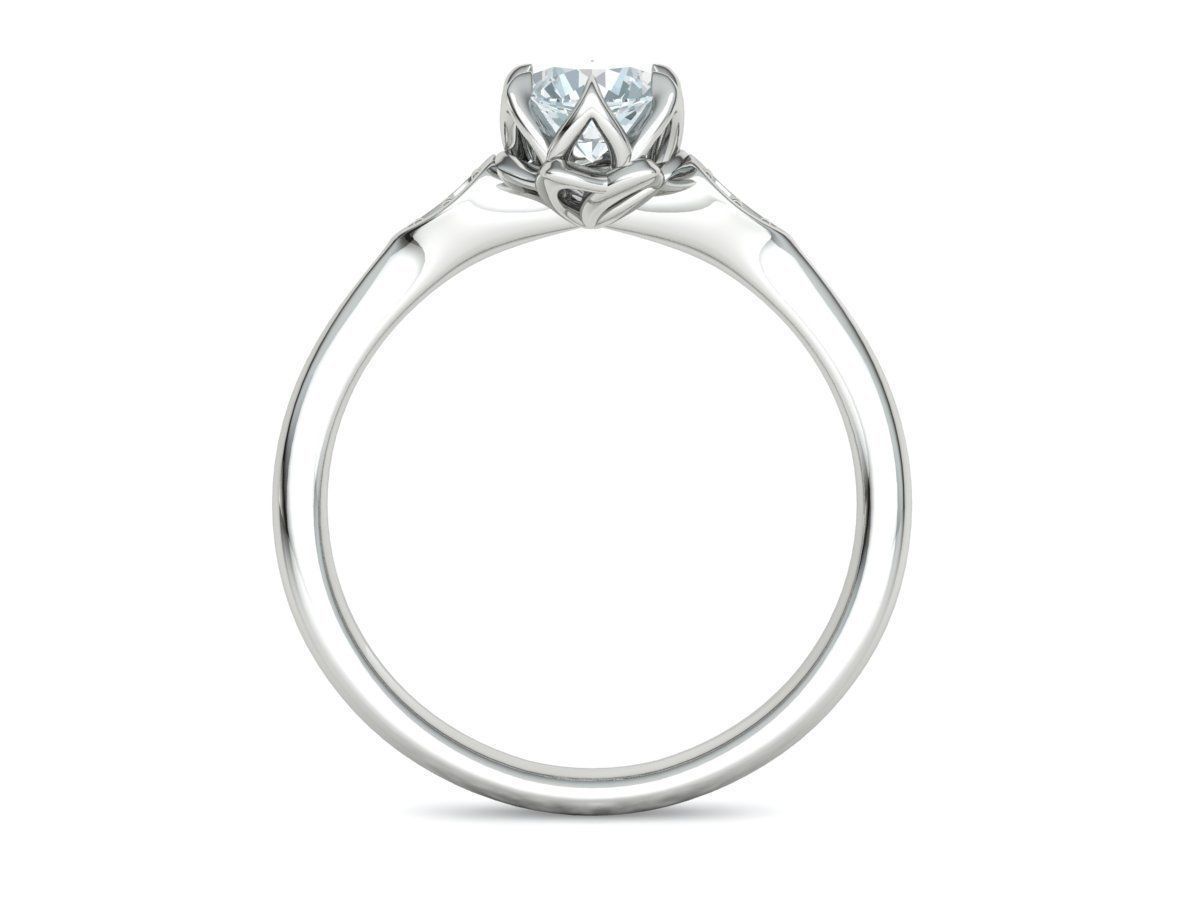 6 prong Engagement ring Own design 0254 3D print model_20
