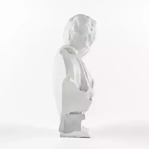 Brutus bust of julius caesar