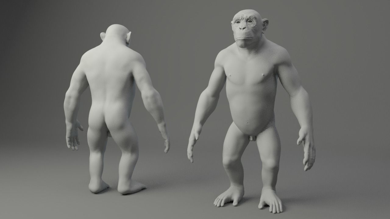 Chimp Base Mesh 3D model_1