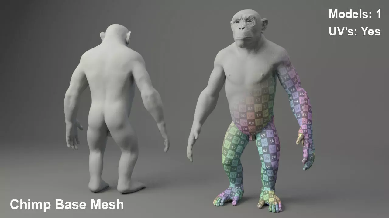 Chimp Base Mesh 3D model_0