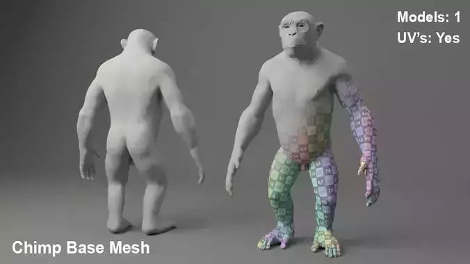 Chimp Base Mesh 3D model