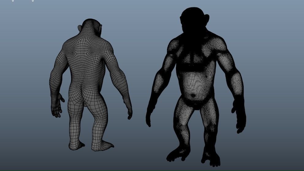 Chimp Base Mesh 3D model_4