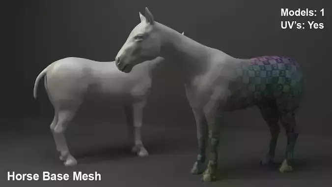 Horse Base Mesh 3D model