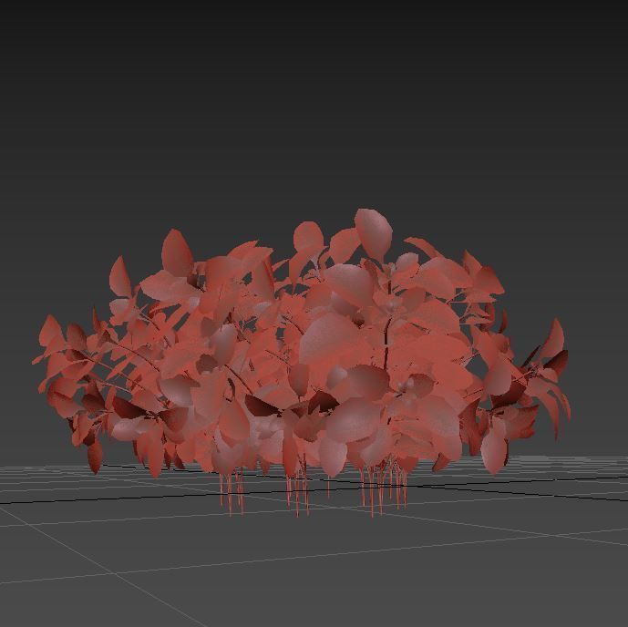 barberry Low-poly 3D model_5