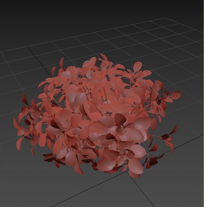  barberry Low-poly 3D model_4