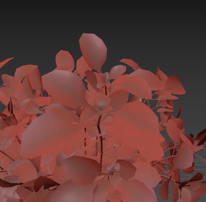  barberry Low-poly 3D model_6