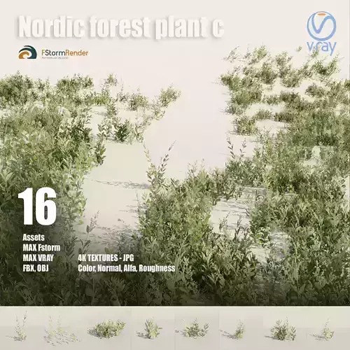 Nordic forest plant C
