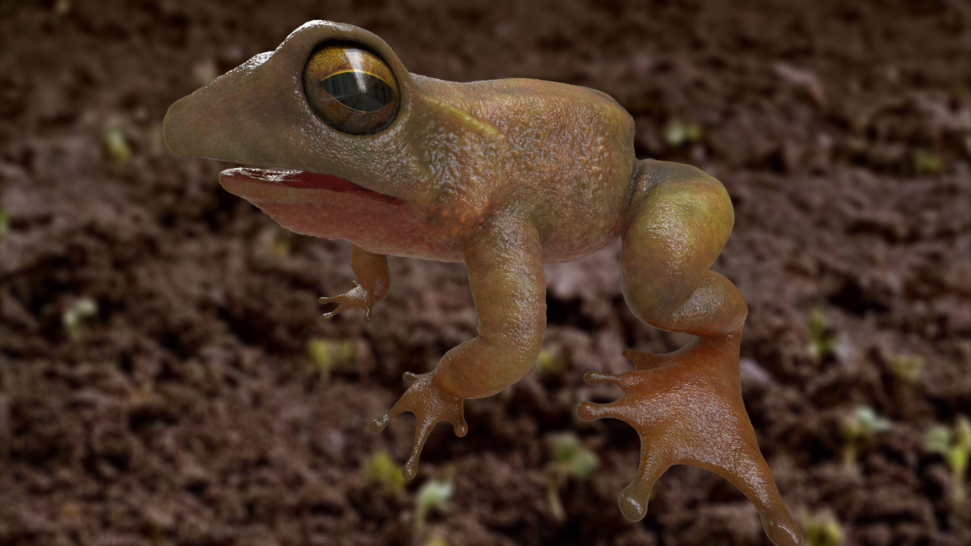 Frog rigged model 3D model_2
