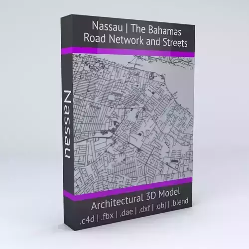 Nassau Road Network and Streets 3D model