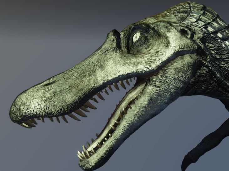 Spinosaurus dinosaur Low-poly 3D model_3