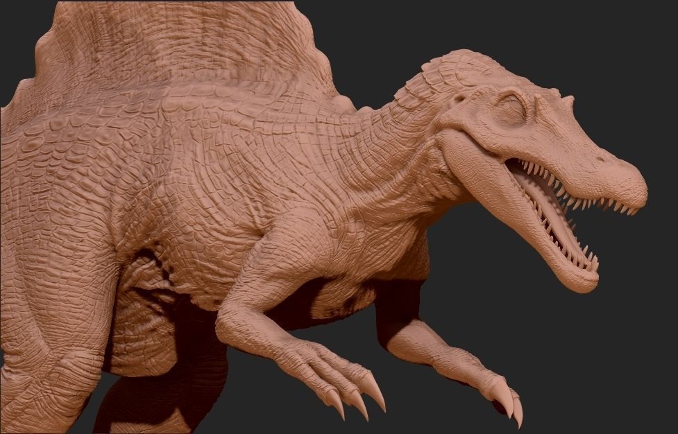 Spinosaurus dinosaur Low-poly 3D model_8
