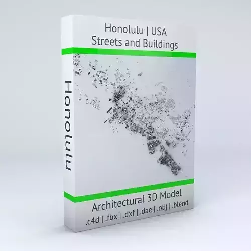 Honolulu Streets and Buildings 3D model