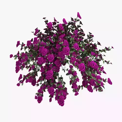 Balcony Flowers Free 3D model