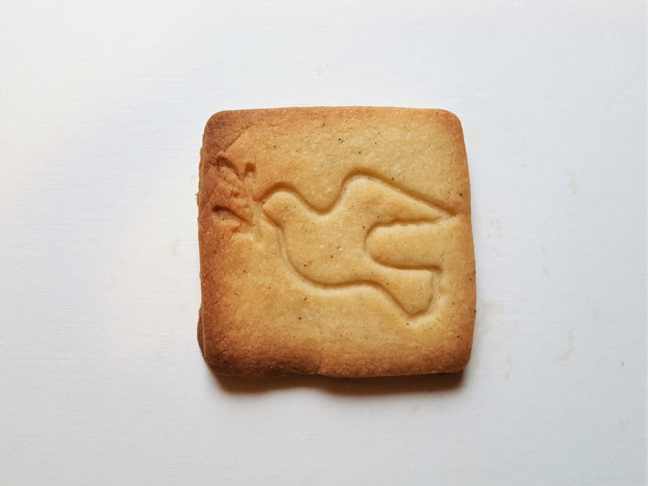 Pigeon Dove bird cookie cutter 3D print model_1