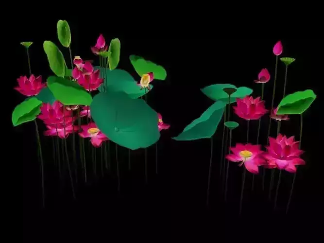 Flower Collections Pack 