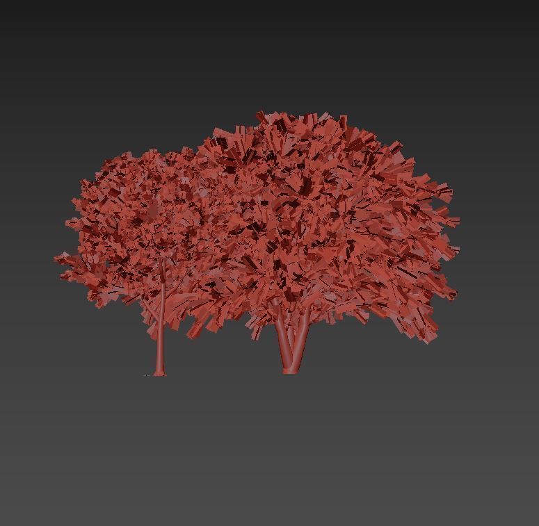 Callistemon Low-poly 3D model_9