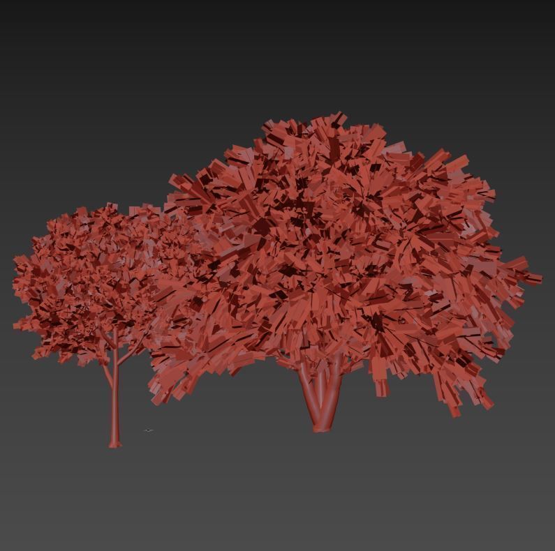 Callistemon Low-poly 3D model_7