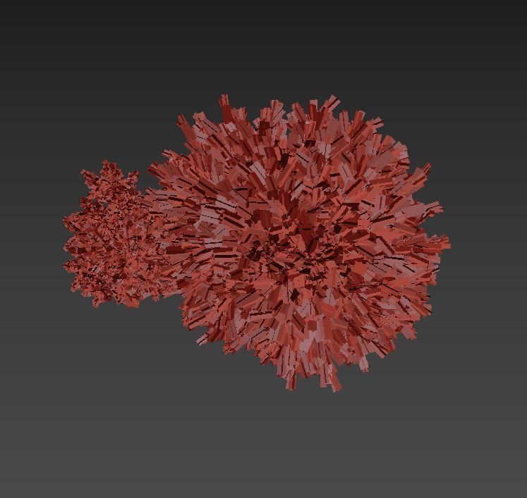 Callistemon Low-poly 3D model_8